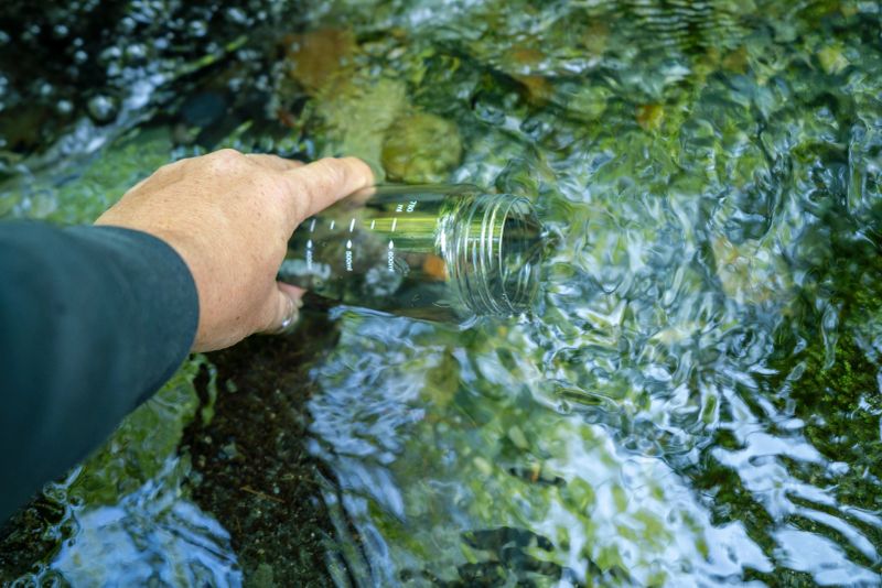 A male hand fills a transparent glass bottle with clear water from a mountain flowing stream surrounded