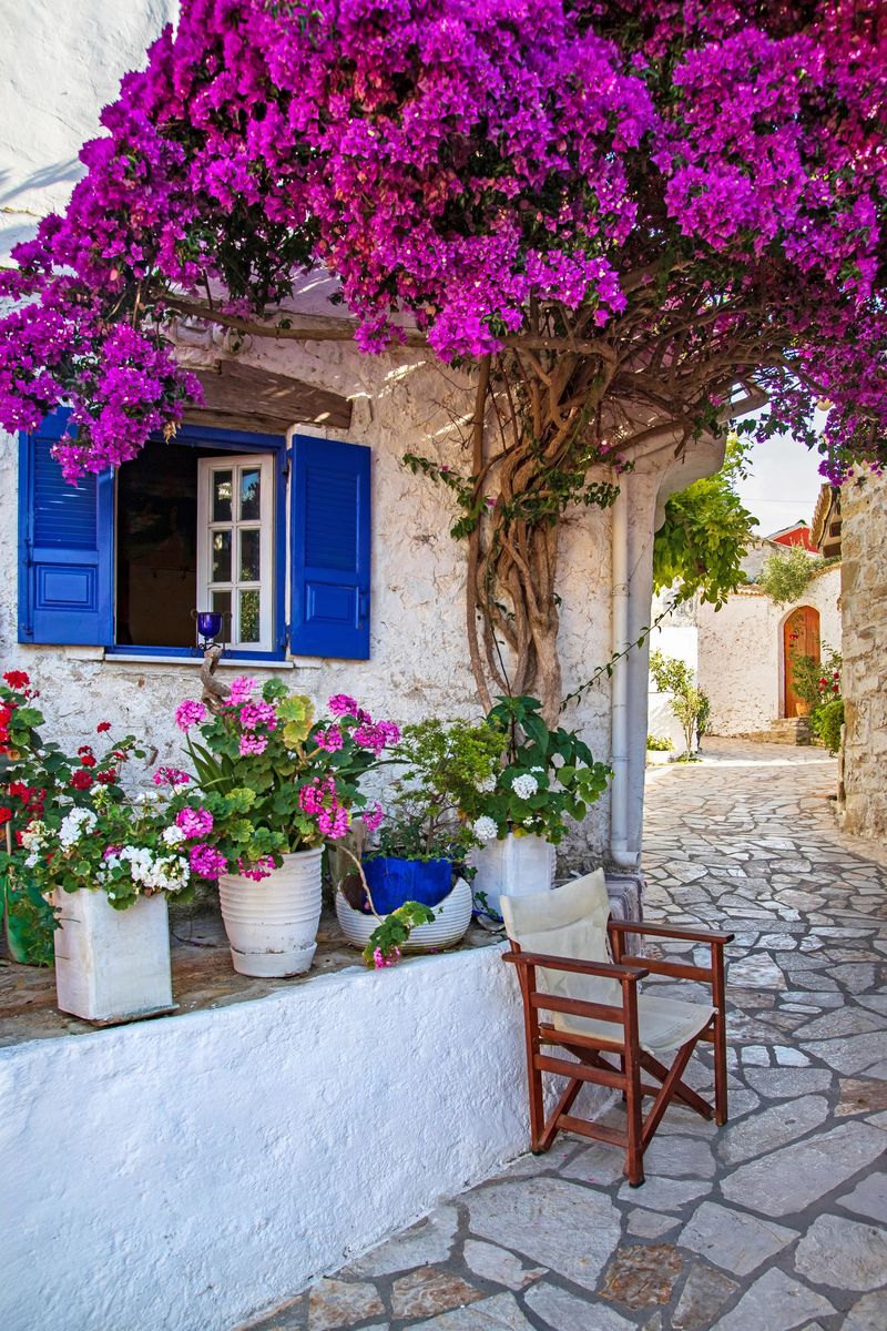Picturesque narrow street in Afionas village on Corfu Island, Greece, with traditional whitewashed walls, blue shutters, blooming bougainvillea, and a cozy Mediterranean atmosphere.