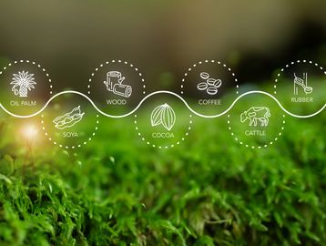 Icons representing agricultural products like oil palm, soya, wood, cocoa, coffee, cattle, and rubber on a green background.
