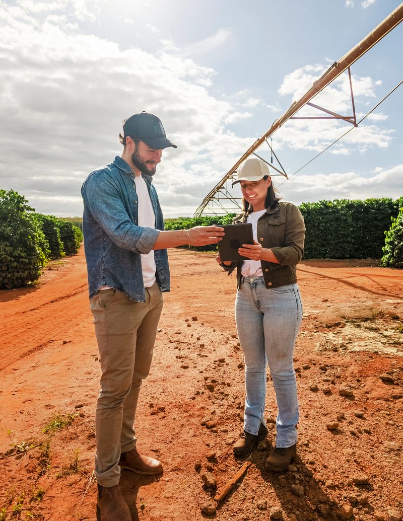 This outdoor captures two young adult farmers, a man and a woman, in a coffee plantation. The man, with a beard and wearing a cap and denim shirt. The woman, also wearing a cap and a jacket, holds a digital tablet and is actively gesturing, seemingly explaining or discussing something with the man. In the background, rows of green crops, coffee plants, stretch across a reddish dirt landscape, with an irrigation system  agricultural structure overhead. The scene is bathed in natural daylight under a partly cloudy sky, suggesting a daytime shot. This image conveys themes of modern farming, teamwork, agricultural technology, and rural life.