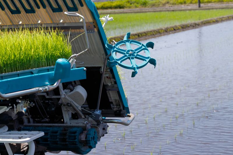 Rice transplanter and marker with rice seedlings. Background of water surface of rice field.