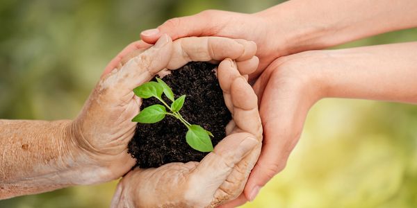 2 people cradling a small piece of earth with plant in their hands