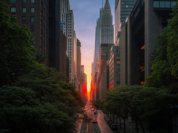 Sunset illuminating a busy city street flanked by tall buildings and greenery.
