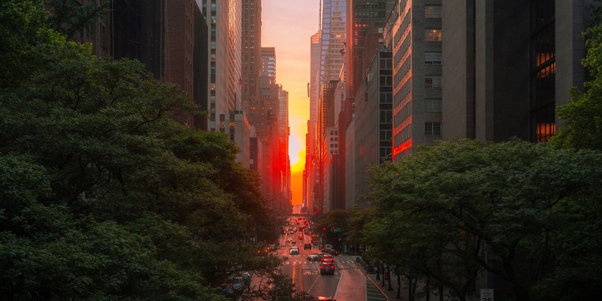 Sunset illuminating a busy city street flanked by tall buildings and greenery.