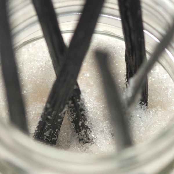 Vanilla beans in sugar inside a jar.