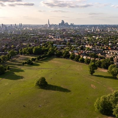 Aerial view of a large green park with people and a city skyline in the background.