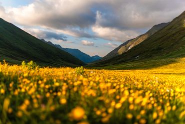 Serene lake with rolling hills at sunset