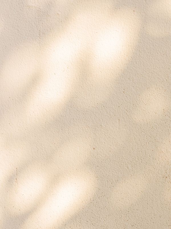 Soft light shadows on a beige textured wall.