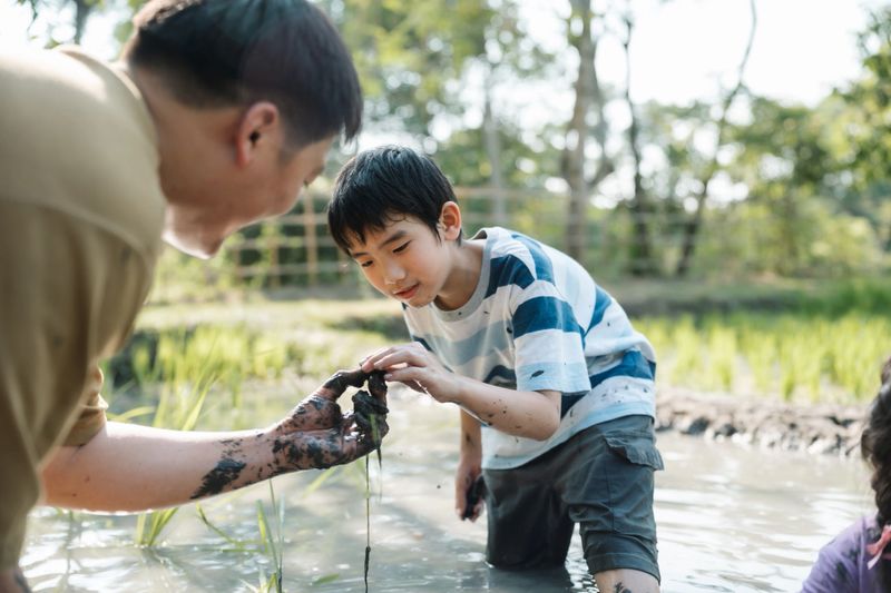 Energetic family working together in the rice field, enjoying the nature workshop designed by local community, learning not only the art of rice planting but also the value of supporting and embracing the traditions of the area
