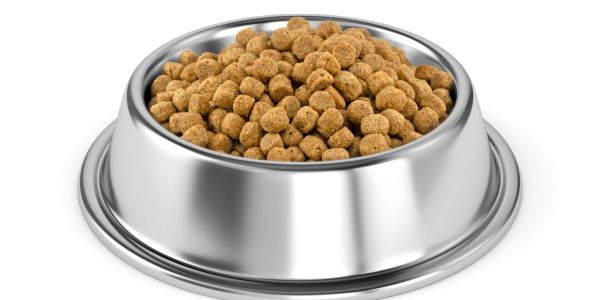 Metal bowl filled with dry pet food.