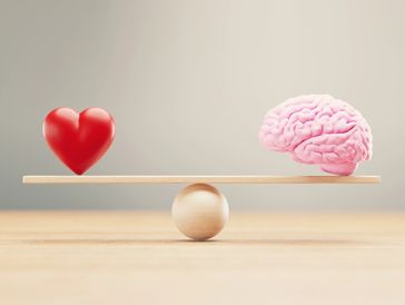 Heart and brain balancing on a wooden seesaw.