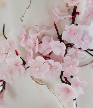 Delicate pink cherry blossoms on thin branches.