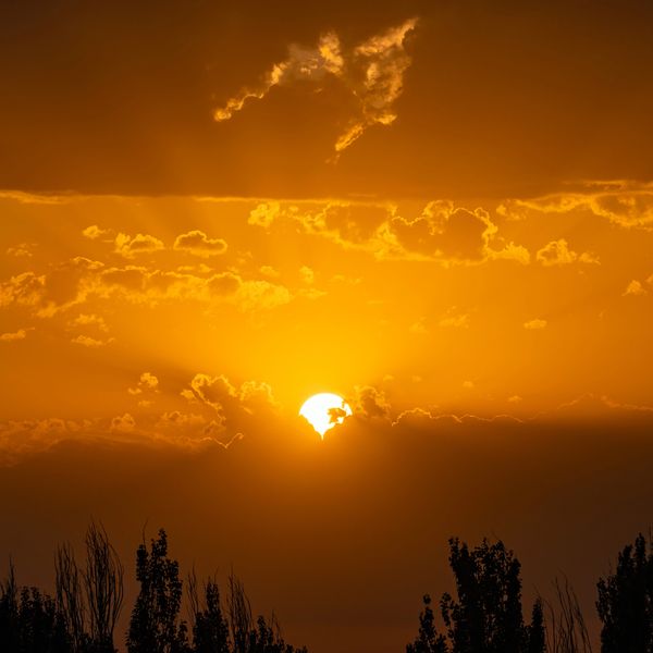 Golden sunset with sun partially hidden behind clouds and silhouetted trees.