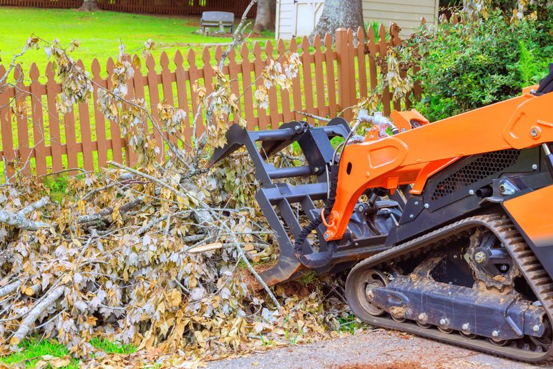 Heavy machinery removes debris fallen branches in backyard, progress using skid steer