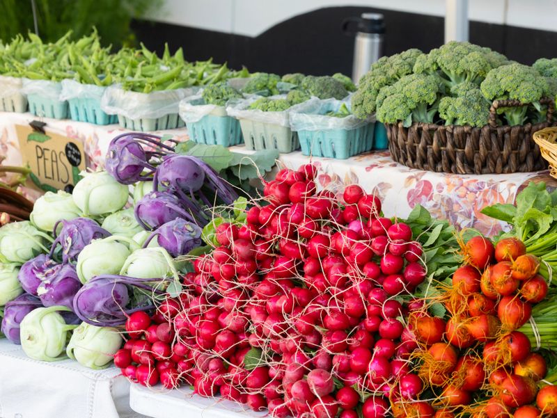 Freshly harvested vegetables at Brasstown Farmers Market.