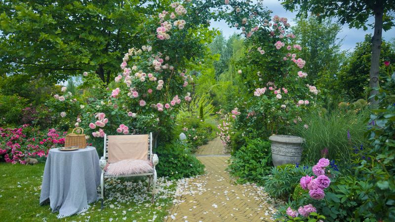 A picturesque garden scene featuring a charming pathway lined with vibrant roses, a cozy chair, and a table, inviting peaceful moments in a tranquil floral setting.