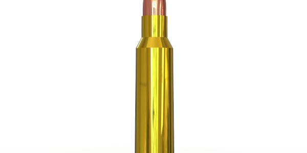 Close-up of a shiny brass bullet cartridge against a white background.