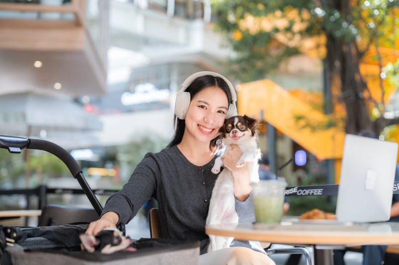 Portrait shot of Happy woman teasing and playing with her dogs while her face glowing with joy as she adores them. Their playful energy and unconditional love provide her with a sense of comfort and emotional support, helping to reduce stress and improve her mental well-being