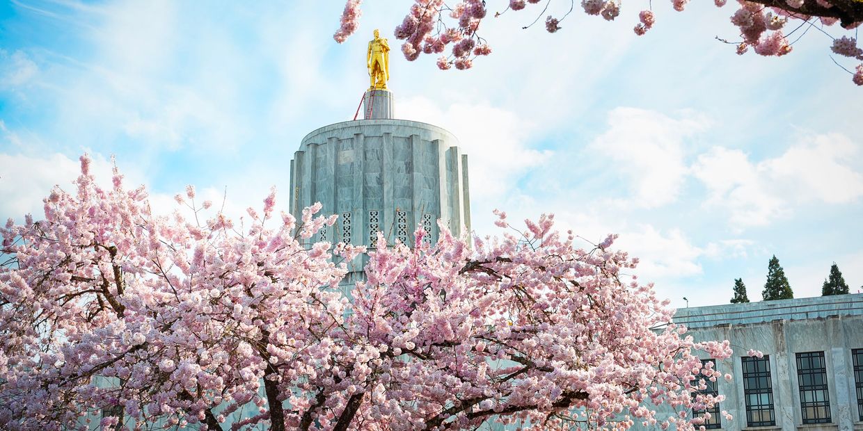 View of the Oregon State Capital in Salem, Marion County, Oregon.