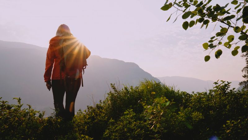 View past fresh aspen leaves to mature woman hiking in mountain meadow at sunrise, springtime, Crowsnest Pass, Alberta