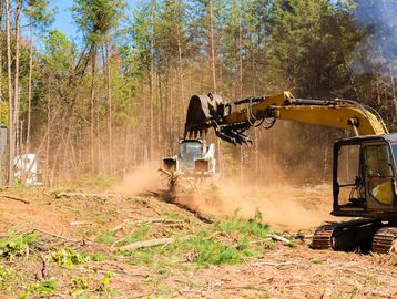 Land Clearing