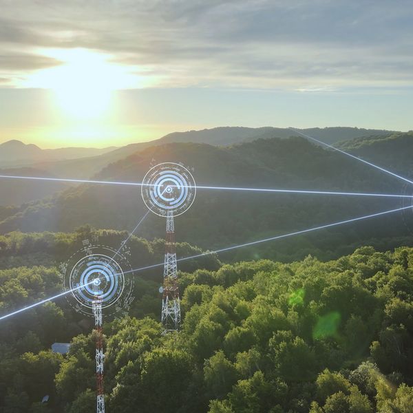 Communication towers in a forest with digital network effects.