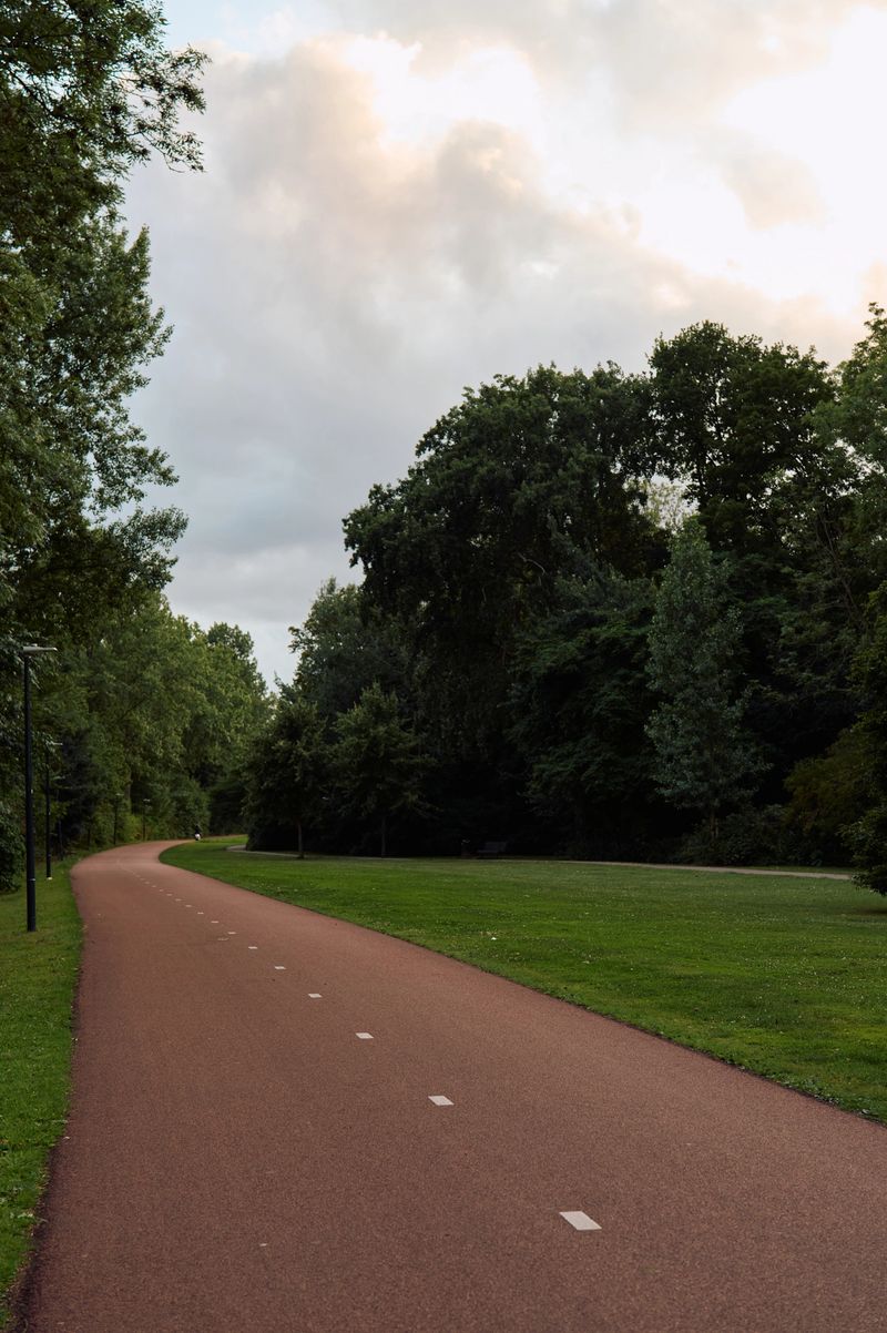 Scenic view of a peaceful park with a winding red path, surrounded by trees and grass, under a cloudy sky