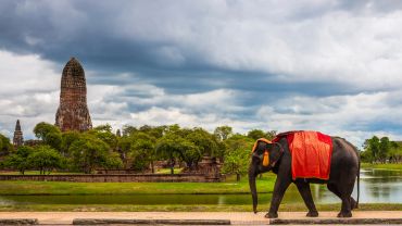An elephant walking near ancient ruins under a cloudy sky.