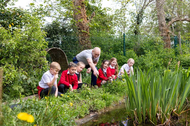 A wide shot of a group of school children sitting around a pond outdoors with their male teacher. They are all learning about the environment and pond wildlife. The children are dressed in red school uniforms with white shirts. The male teacher is leaning over and pointing at the pond.Videos are available similar to this scenario.