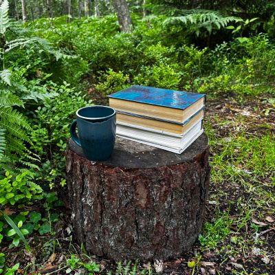 Books and mug on a tree stump in a forest.