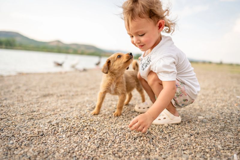 Cute baby playing with puppy outdoors