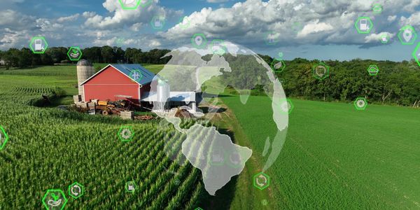 A future where agricultural and nonprofit organizations thrive through visionary leadership.