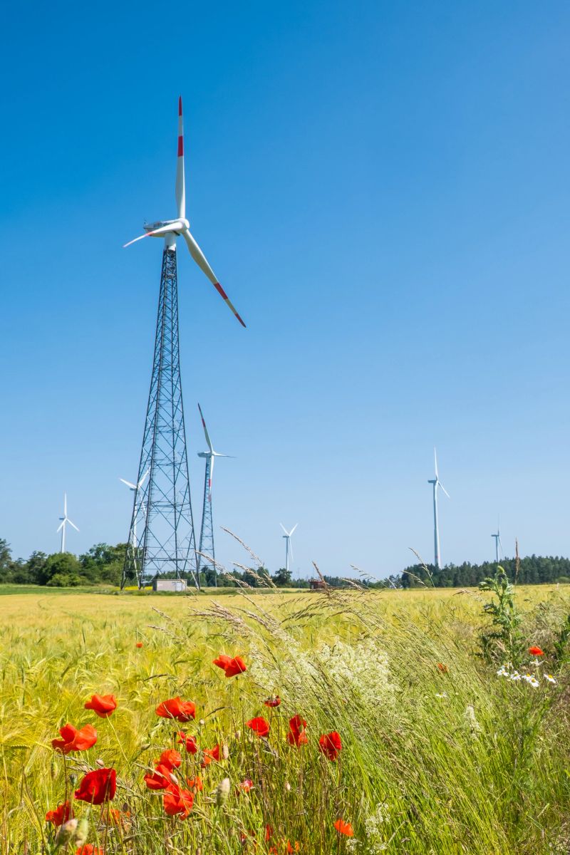 Wind turbines generating renewable electricity beside power lines below big blue summer skies.