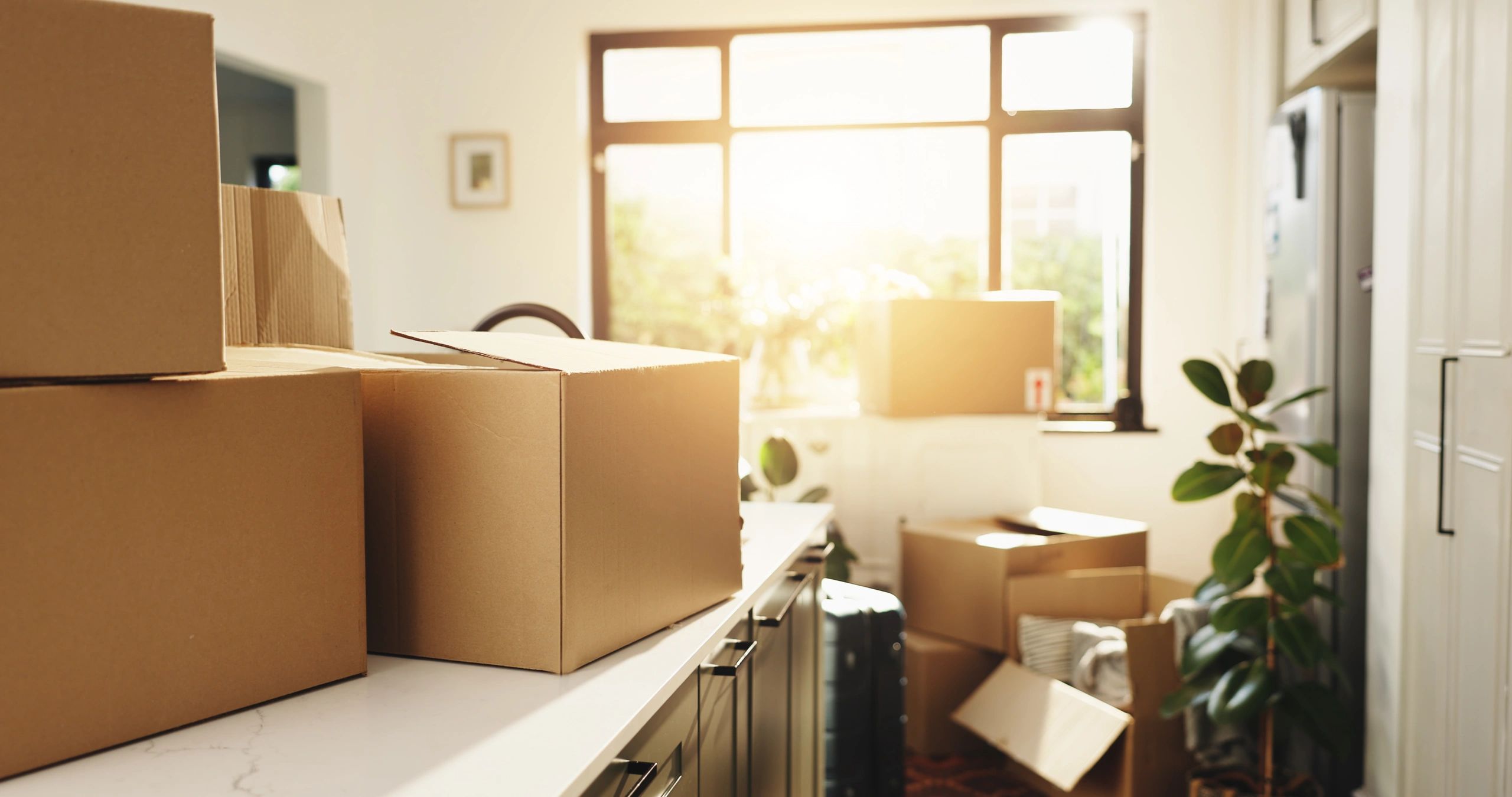 Cardboard moving boxes in a sunlit room.