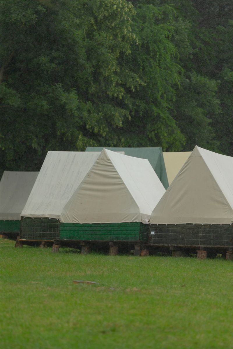 A collection of canvas tents thoughtfully arranged atop wooden platforms, nestled in a lush grassy area, complete with a backdrop of trees providing a serene natural environment