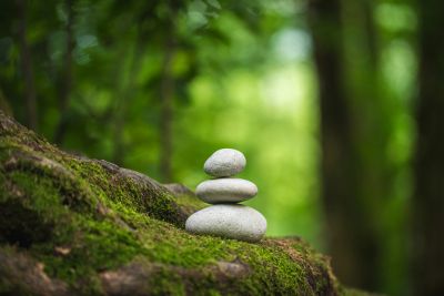 Three smooth stones balanced on mossy ground in a forest.