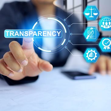 Person pointing at holographic word TRANSPARENCY.