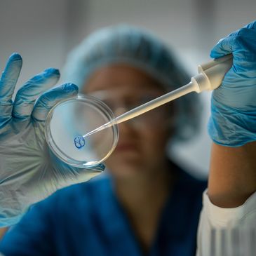 Wetenschappelijk onderzoeker pipetteert vloeistof in een petrischaal.