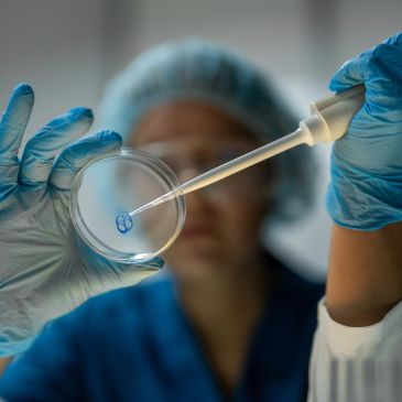Wetenschappelijk onderzoeker pipetteert vloeistof in een petrischaal.