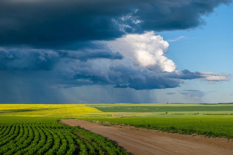 Dark storm clouds over a grid road and fields