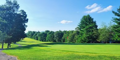 A sunny golf course with a green and a flag surrounded by trees.