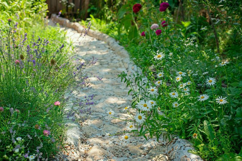 Beautiful handmade stone path in a blooming garden. The walkway is surrounded by flowers  daisies, lavender, and Turkish carnations. Natural landscape design, cozy countryside atmosphere, summer day, and DIY garden decoration concept.