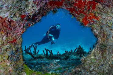 Scuba diver exploring underwater cave surrounded by colorful coral.