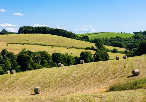 Countryside with hay bales scattered on rolling hills.