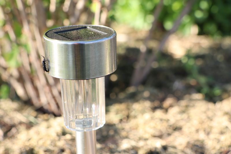 This elegant and sleek solarpowered garden light serves to enhance outdoor aesthetics while providing illumination