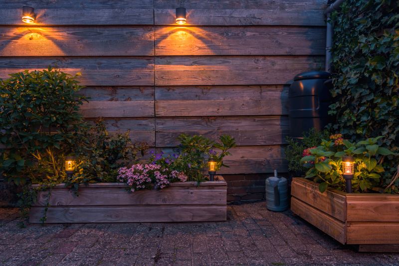 Solar-powered outdoor lighting illuminating a garden with flowers and plants.