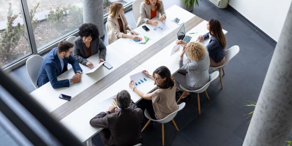 Group of professionals in a meeting around a table.