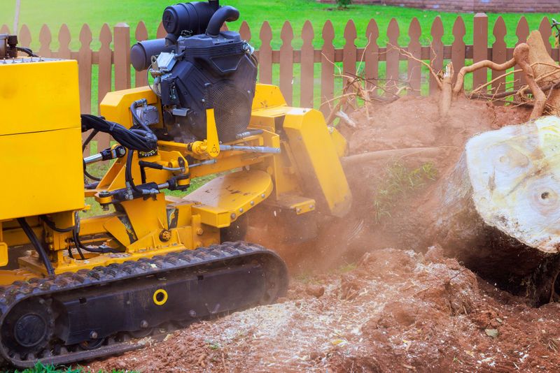 Powerful stump grinder works diligently in yard, removing an stump creating space for landscaping.