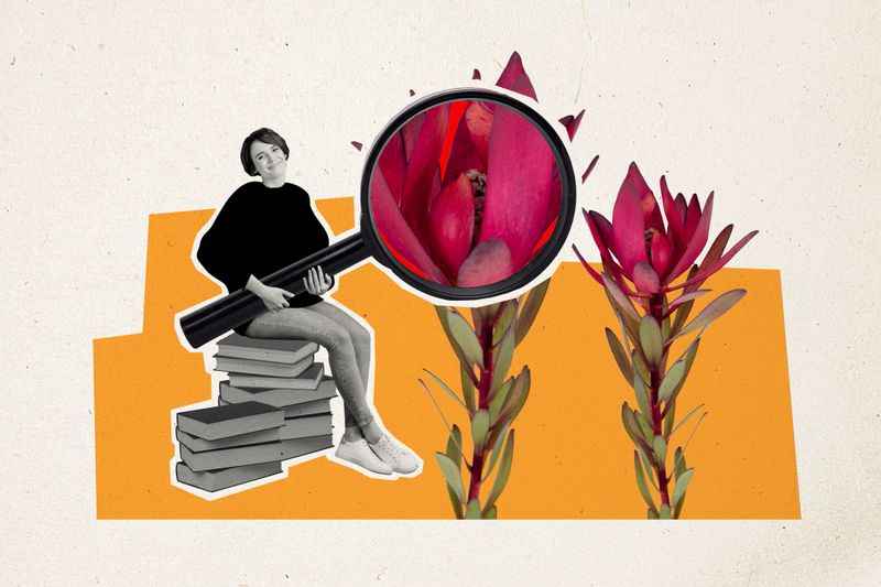 Trend artwork sketch image photo collage of silhouette person young woman hand hold magnifier glass sit huge pile book zoom flower spring.