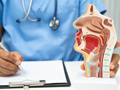 Doctor holding anatomical model of human head and writing notes on clipboard.